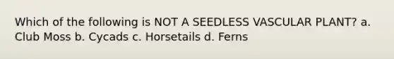 Which of the following is NOT A SEEDLESS VASCULAR PLANT? a. Club Moss b. Cycads c. Horsetails d. Ferns