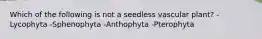 Which of the following is not a seedless vascular plant? -Lycophyta -Sphenophyta -Anthophyta -Pterophyta