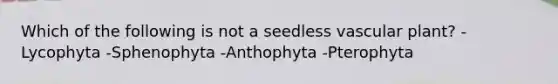 Which of the following is not a seedless vascular plant? -Lycophyta -Sphenophyta -Anthophyta -Pterophyta