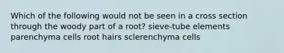 Which of the following would not be seen in a cross section through the woody part of a root? sieve-tube elements parenchyma cells root hairs sclerenchyma cells