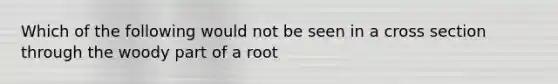 Which of the following would not be seen in a cross section through the woody part of a root