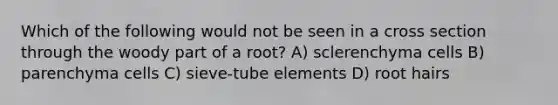 Which of the following would not be seen in a cross section through the woody part of a root? A) sclerenchyma cells B) parenchyma cells C) sieve-tube elements D) root hairs