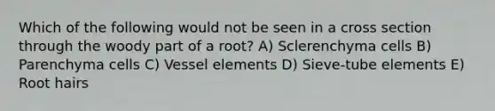 Which of the following would not be seen in a cross section through the woody part of a root? A) Sclerenchyma cells B) Parenchyma cells C) Vessel elements D) Sieve-tube elements E) Root hairs