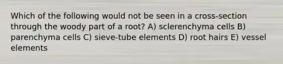 Which of the following would not be seen in a cross-section through the woody part of a root? A) sclerenchyma cells B) parenchyma cells C) sieve-tube elements D) root hairs E) vessel elements