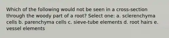 Which of the following would not be seen in a cross-section through the woody part of a root? Select one: a. sclerenchyma cells b. parenchyma cells c. sieve-tube elements d. root hairs e. vessel elements