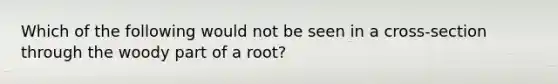 Which of the following would not be seen in a cross-section through the woody part of a root?