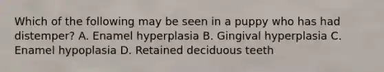 Which of the following may be seen in a puppy who has had distemper? A. Enamel hyperplasia B. Gingival hyperplasia C. Enamel hypoplasia D. Retained deciduous teeth