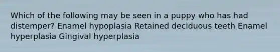 Which of the following may be seen in a puppy who has had distemper? Enamel hypoplasia Retained deciduous teeth Enamel hyperplasia Gingival hyperplasia