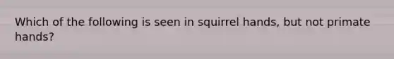 Which of the following is seen in squirrel hands, but not primate hands?