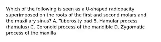 Which of the following is seen as a U-shaped radiopacity superimposed on the roots of the first and second molars and the maxillary sinus? A. Tuberosity pad B. Hamular process (hamulus) C. Coronoid process of the mandible D. Zygomatic process of the maxilla