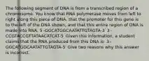 The following segment of DNA is from a transcribed region of a chromosome. You know that RNA polymerase moves from left to right along this piece of DNA, that the promoter for this gene is to the left of the DNA shown, and that this entire region of DNA is made into RNA. 5′-GGCATGGCAATATTGTAGTA-3′ 3′-CCGTACCGTTATAACATCAT-5′ Given this information, a student claims that the RNA produced from this DNA is: 3′-GGCATGGCAATATTGTAGTA-5′ Give two reasons why this answer is incorrect.