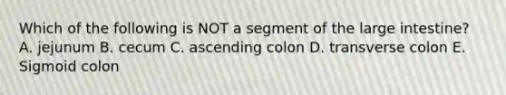 Which of the following is NOT a segment of the large intestine? A. jejunum B. cecum C. ascending colon D. transverse colon E. Sigmoid colon