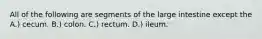 All of the following are segments of the large intestine except the A.) cecum. B.) colon. C.) rectum. D.) ileum.