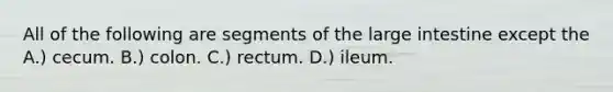 All of the following are segments of the large intestine except the A.) cecum. B.) colon. C.) rectum. D.) ileum.