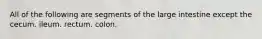 All of the following are segments of the large intestine except the cecum. ileum. rectum. colon.