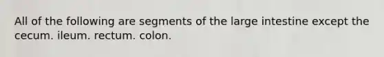 All of the following are segments of the large intestine except the cecum. ileum. rectum. colon.