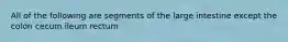 All of the following are segments of the large intestine except the colon cecum ileum rectum