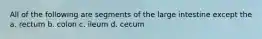 All of the following are segments of the large intestine except the a. rectum b. colon c. ileum d. cecum