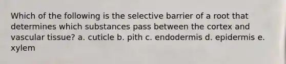 Which of the following is the selective barrier of a root that determines which substances pass between the cortex and vascular tissue? a. cuticle b. pith c. endodermis d. epidermis e. xylem