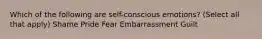 Which of the following are self-conscious emotions? (Select all that apply) Shame Pride Fear Embarrassment Guilt