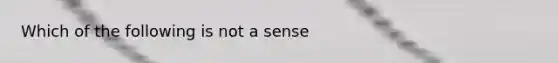 Which of the following is not a sense