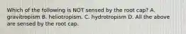 Which of the following is NOT sensed by the root cap? A. gravitropism B. heliotropism. C. hydrotropism D. All the above are sensed by the root cap.