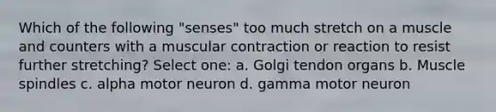 Which of the following "senses" too much stretch on a muscle and counters with a muscular contraction or reaction to resist further stretching? Select one: a. Golgi tendon organs b. Muscle spindles c. alpha motor neuron d. gamma motor neuron