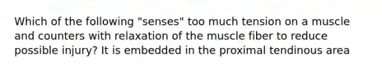 Which of the following "senses" too much tension on a muscle and counters with relaxation of the muscle fiber to reduce possible injury? It is embedded in the proximal tendinous area