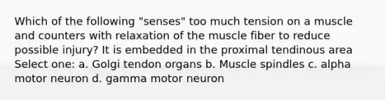 Which of the following "senses" too much tension on a muscle and counters with relaxation of the muscle fiber to reduce possible injury? It is embedded in the proximal tendinous area Select one: a. Golgi tendon organs b. Muscle spindles c. alpha motor neuron d. gamma motor neuron