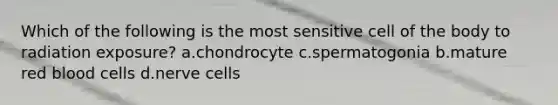 Which of the following is the most sensitive cell of the body to radiation exposure? a.chondrocyte c.spermatogonia b.mature red blood cells d.nerve cells