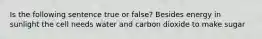 Is the following sentence true or false? Besides energy in sunlight the cell needs water and carbon dioxide to make sugar