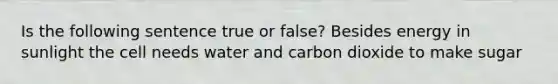 Is the following sentence true or false? Besides energy in sunlight the cell needs water and carbon dioxide to make sugar