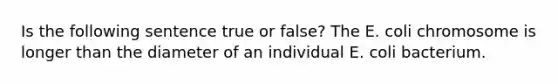 Is the following sentence true or false? The E. coli chromosome is longer than the diameter of an individual E. coli bacterium.