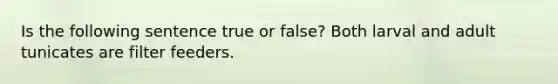 Is the following sentence true or false? Both larval and adult tunicates are filter feeders.