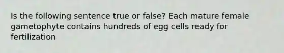 Is the following sentence true or false? Each mature female gametophyte contains hundreds of egg cells ready for fertilization