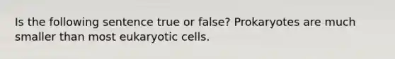 Is the following sentence true or false? Prokaryotes are much smaller than most eukaryotic cells.