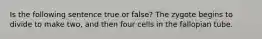 Is the following sentence true or false? The zygote begins to divide to make two, and then four cells in the fallopian tube.