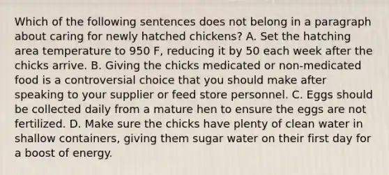 Which of the following sentences does not belong in a paragraph about caring for newly hatched chickens? A. Set the hatching area temperature to 950 F, reducing it by 50 each week after the chicks arrive. B. Giving the chicks medicated or non-medicated food is a controversial choice that you should make after speaking to your supplier or feed store personnel. C. Eggs should be collected daily from a mature hen to ensure the eggs are not fertilized. D. Make sure the chicks have plenty of clean water in shallow containers, giving them sugar water on their first day for a boost of energy.