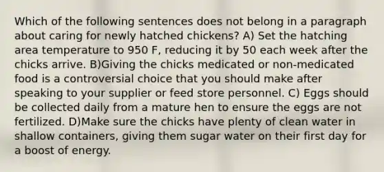 Which of the following sentences does not belong in a paragraph about caring for newly hatched chickens? A) Set the hatching area temperature to 950 F, reducing it by 50 each week after the chicks arrive. B)Giving the chicks medicated or non-medicated food is a controversial choice that you should make after speaking to your supplier or feed store personnel. C) Eggs should be collected daily from a mature hen to ensure the eggs are not fertilized. D)Make sure the chicks have plenty of clean water in shallow containers, giving them sugar water on their first day for a boost of energy.