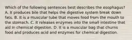 Which of the following sentences best describes the esophagus? A. It produces bile that helps the digestive system break down fats. B. It is a muscular tube that moves food from the mouth to the stomach. C. It releases enzymes into the small intestine that aid in chemical digestion. D. It is a muscular bag that churns food and produces acid and enzymes for chemical digestion.