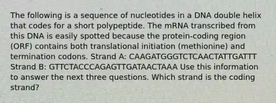 The following is a sequence of nucleotides in a DNA double helix that codes for a short polypeptide. The mRNA transcribed from this DNA is easily spotted because the protein-coding region (ORF) contains both translational initiation (methionine) and termination codons. Strand A: CAAGATGGGTCTCAACTATTGATTT Strand B: GTTCTACCCAGAGTTGATAACTAAA Use this information to answer the next three questions. Which strand is the coding strand?