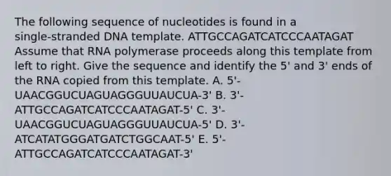 The following sequence of nucleotides is found in a single‑stranded DNA template. ATTGCCAGATCATCCCAATAGAT Assume that RNA polymerase proceeds along this template from left to right. Give the sequence and identify the 5' and 3' ends of the RNA copied from this template. A. 5'-UAACGGUCUAGUAGGGUUAUCUA-3' B. 3'-ATTGCCAGATCATCCCAATAGAT-5' C. 3'-UAACGGUCUAGUAGGGUUAUCUA-5' D. 3'-ATCATATGGGATGATCTGGCAAT-5' E. 5'-ATTGCCAGATCATCCCAATAGAT-3'