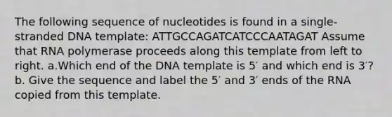 The following sequence of nucleotides is found in a single-stranded DNA template: ATTGCCAGATCATCCCAATAGAT Assume that RNA polymerase proceeds along this template from left to right. a.Which end of the DNA template is 5′ and which end is 3′? b. Give the sequence and label the 5′ and 3′ ends of the RNA copied from this template.