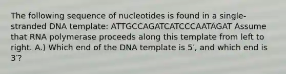 The following sequence of nucleotides is found in a single-stranded DNA template: ATTGCCAGATCATCCCAATAGAT Assume that RNA polymerase proceeds along this template from left to right. A.) Which end of the DNA template is 5′, and which end is 3′?