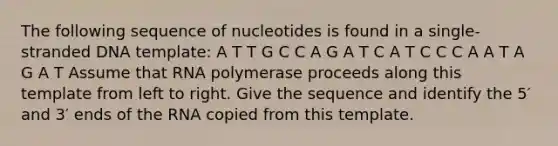 The following sequence of nucleotides is found in a single-stranded DNA template: A T T G C C A G A T C A T C C C A A T A G A T Assume that RNA polymerase proceeds along this template from left to right. Give the sequence and identify the 5′ and 3′ ends of the RNA copied from this template.