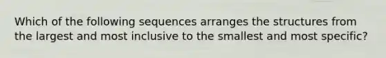 Which of the following sequences arranges the structures from the largest and most inclusive to the smallest and most specific?