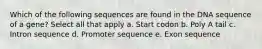 Which of the following sequences are found in the DNA sequence of a gene? Select all that apply a. Start codon b. Poly A tail c. Intron sequence d. Promoter sequence e. Exon sequence