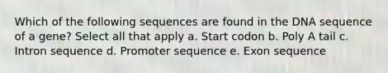 Which of the following sequences are found in the DNA sequence of a gene? Select all that apply a. Start codon b. Poly A tail c. Intron sequence d. Promoter sequence e. Exon sequence