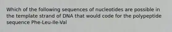 Which of the following sequences of nucleotides are possible in the template strand of DNA that would code for the polypeptide sequence Phe-Leu-Ile-Val