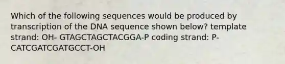 Which of the following sequences would be produced by transcription of the DNA sequence shown below? template strand: OH- GTAGCTAGCTACGGA-P coding strand: P- CATCGATCGATGCCT-OH